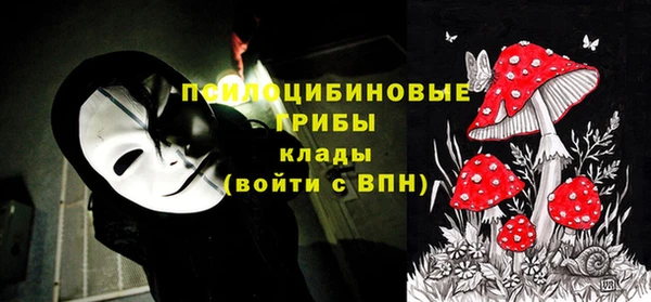 ECSTASY Зеленодольск