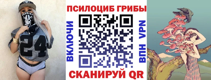 где можно купить Калачинск Галлюциногенные грибы Psilocybine cubensis